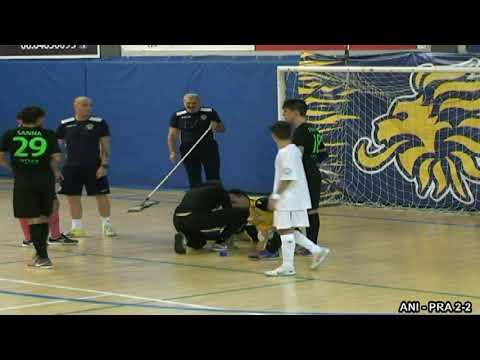 VIRTUS ANIENE 3Z vs PRATO (highlights)