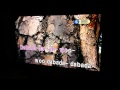 Shiroi koibito tachi karaoke by Tanaka 