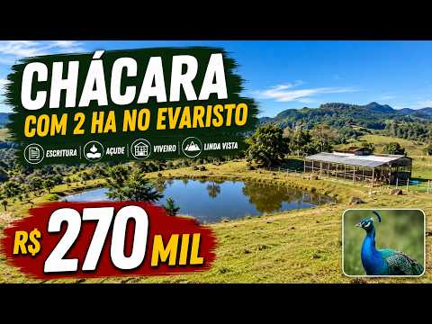 Vídeo