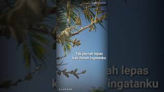 Download lagu story wa kau kekasih sahabatku mp3 Download lagu story wa kau kekasih sahabatku mp3