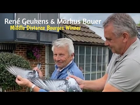 The Fastest Pigeon of Rene Geukens & Markus Bauer - Middle Distance Classic