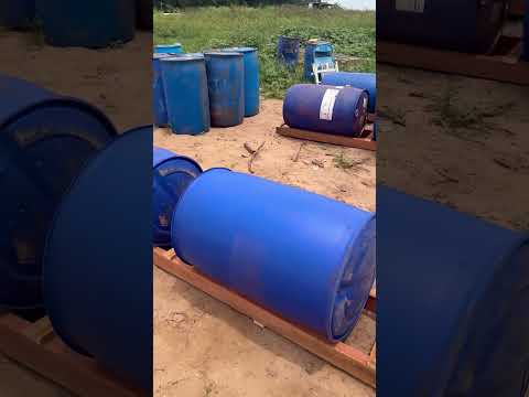 #pescaria mata dos macacos Guaraci São Paulo