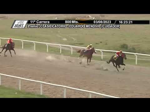 SINT COLONIA 230803 c11 - 1° MADRUGADA MIA