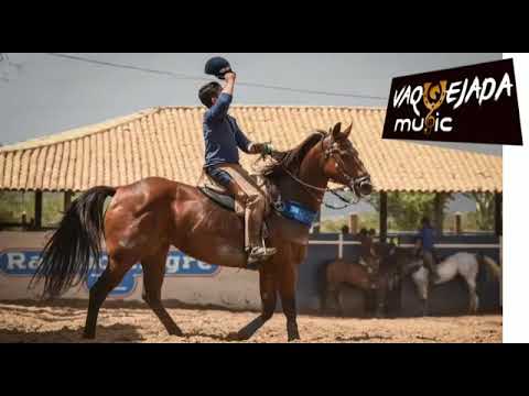 Paixão di Vaqueiro (eu e vc no WhatsApp) PAIXÃO DE VAQUEIRO