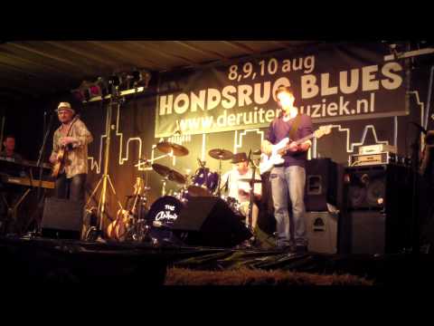 Fat Harry & the Fuzzy Licks