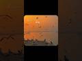Kabhi Aesa Bi Ho Oh Sahib OST Lyrics Video Trending Aesthetic Love Shorts