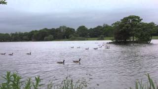 preview picture of video 'Tarnfield Park, Yeadon, Leeds, UK - 14th June, 2012 (720 HD)'