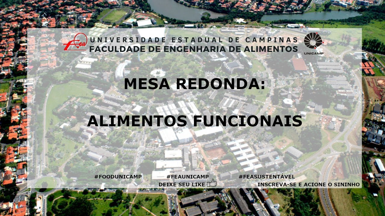 CONEXÃO FEA - Mesa Redonda online - Alimentos Funcionais