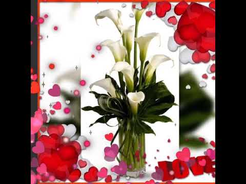 Anil pana 🅰️🅰️🅰️utona  namastha baiji🅰️🅰️🅰️