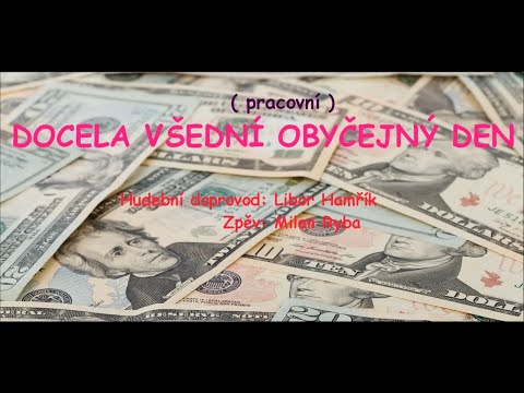 DOCELA VŠEDNÍ DEN