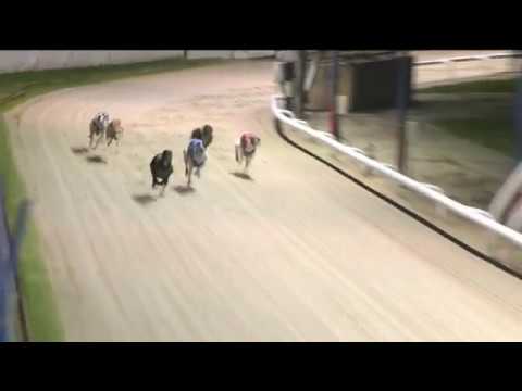 CORAL CORONATION CUP - HEAT 3 - T4 CHUBBYS CAVIAR