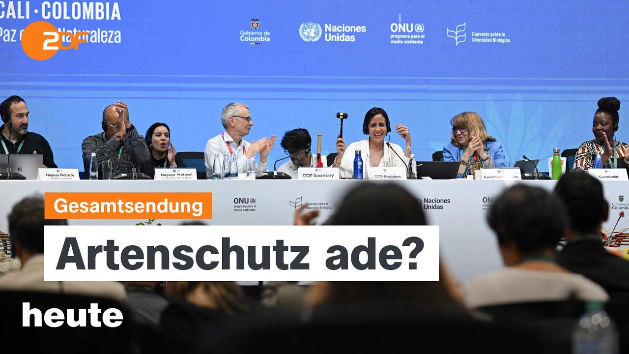 heute 19 Uhr vom 02.11.24 Weltnaturkonferenz endet, Flutkatastrophe in Spanien, VW-Standorte bedroht