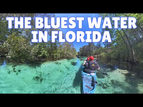 Is Kayaking the Weeki Wachee River Worth It? | FULL Review & Tips!