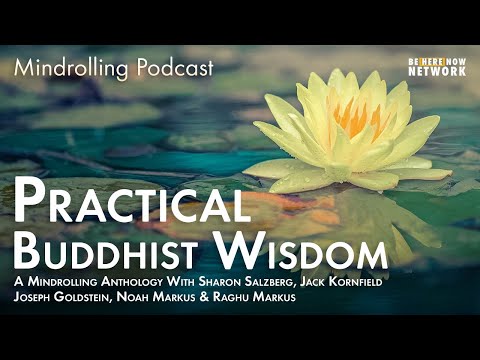 Practical Buddhist Wisdom w/ Sharon Salzberg, Jack Kornfield, Joseph Goldstein, Raghu & Noah Markus