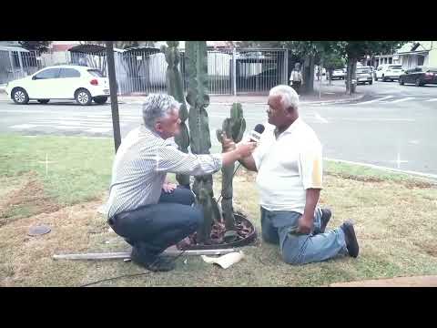 Prefeito quebra Pit Dog de 30 anos 