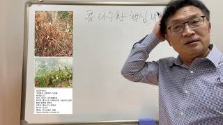 사례로 본 콩 다수확 핵심 비결: 3편 횡성 이은수님