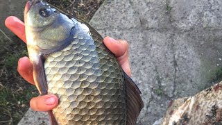 Платная рыбалка в чувашии на красной горке