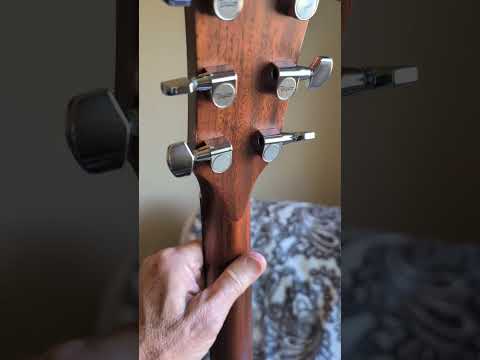 Taylor 320e-Baritone SLTD Spring Limited Edition 2014 image 11
