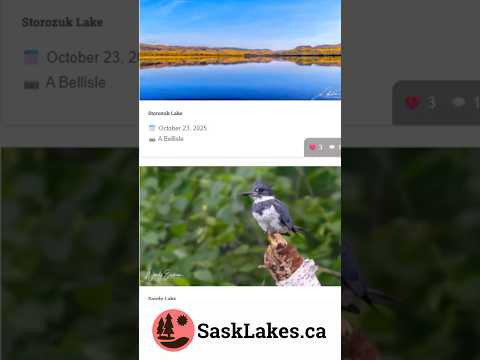 Help pick the photos featured by SaskLakes