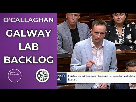 Cian O'Callaghan: Exposes Galway lab backlog and contract breaches