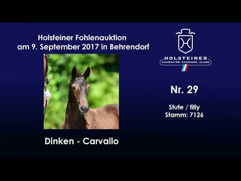 Nr. 29 v. Dinken - Carvallo