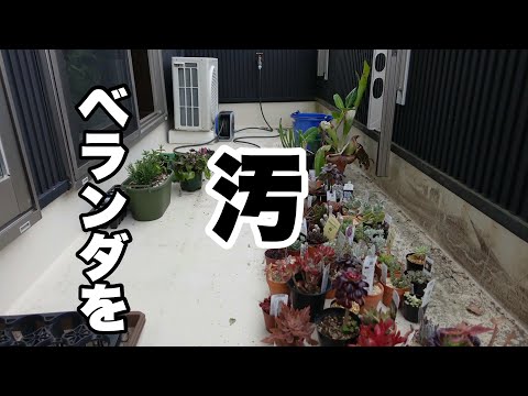 園芸 花がいっぱいのバルコニー