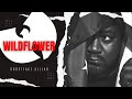 Ghostface Killah / Wildflower