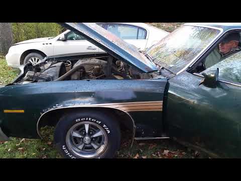 1973 Pontiac LeMans  (CC-1028564) for sale in Kingston, Michigan