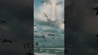 En tu propio vuelo ~ Marco Antonio Solís