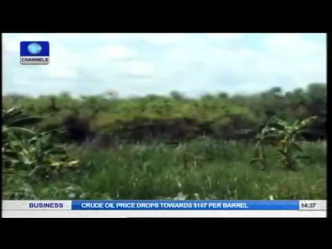 Earthfile: Achieving Food Security And Fighting Off Land Grabbers. Pt1