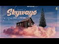 Skyways: Sidak (Visualizer) | Its Vibee | Desi Rhymes | New Punjabi song