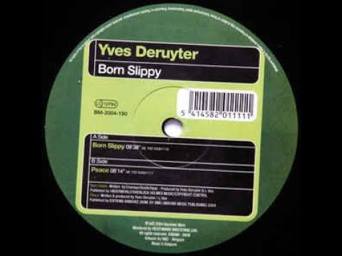 Yves Deruyter   Born Slippy
