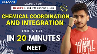 Chemical Coordination and Integration Class 11 | Biology | For NEET | Full Revision In 20 Minutes