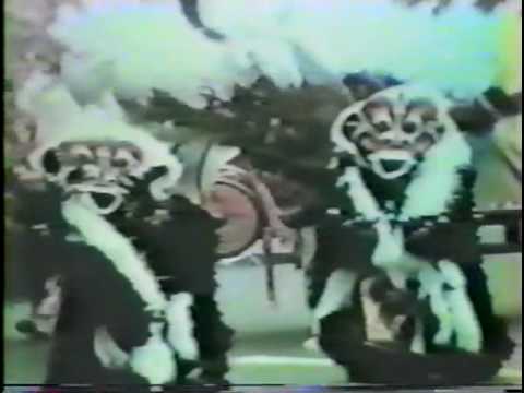 1975 Mummers Parade- Gallagher Fancy Brigade