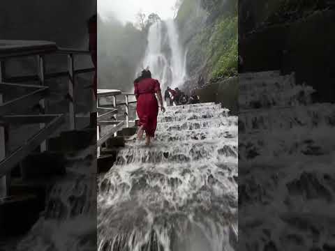 Amboli waterfalls in Maharashtra near goa #andhrapradesh #trend #monsoon #2025 #love #reels #amboli