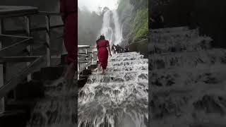 Amboli waterfalls in Maharashtra near goa #andhrapradesh #trend #monsoon #2025 #love #reels #amboli