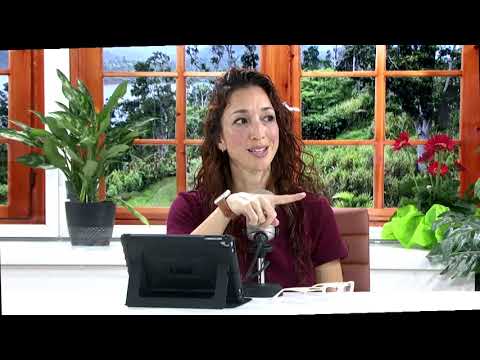 Vive Sanamente 022120 1 Micro Circulacion