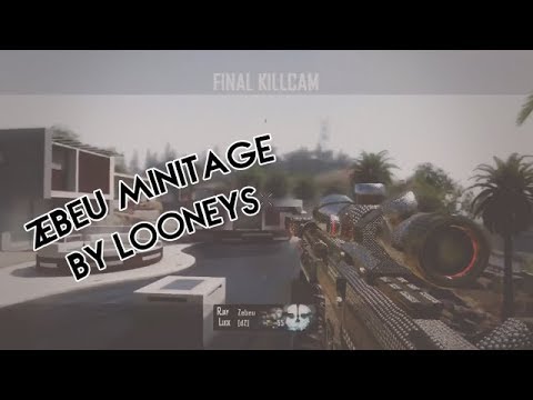 Zebeu Minitage - By Looneys