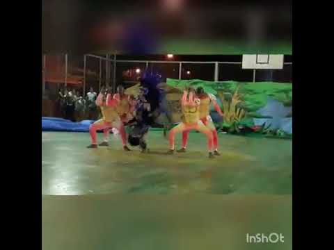 Cunhã poranga - terra cabocla 2017 (campeã) CIBELE MOURA