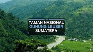 Inilah Jantungnya Bumi, Taman Nasional Gunung Leuser Tempat Paling Purba di Dunia