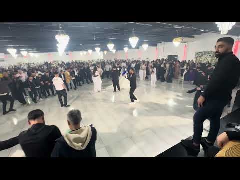 HOZAN EROL ŞIRNAK VE MUŞ DÜĞÜNÜ 25/12/2025