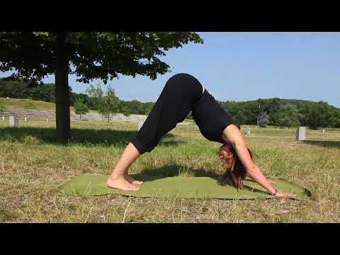 YOGA FÜR KLETTERER | Der Hund