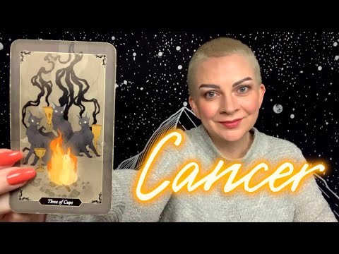 CANCER MAY 25 DAILY TAROT “They’re Not Taking the Hint”