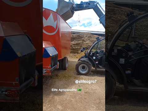 Fazendo teste máquina nova #pecuária 2.0 🐄🔝💯🇧🇷 #eliteagro7 #eliteagropecuaria #agro