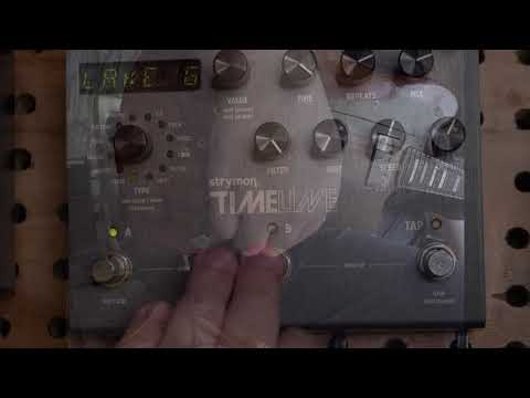 Strymon Timeline in Stereo Clean through Strymon Iridium