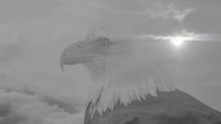 Sarah Fimm - Dangerous (Official Music Video)