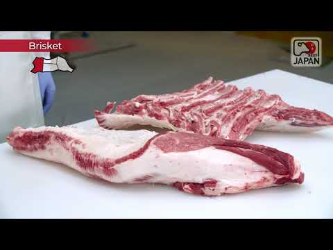 A Visual Guide to Efficient Cutting (Full Version)