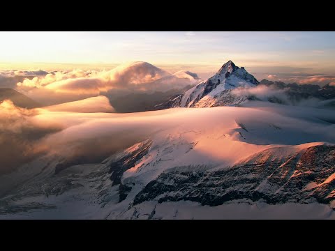 PRO BRASS - Dahaam (Official Video)