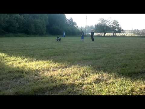 Finni z údolí Úpy (obrana Nadějkov)