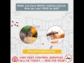 Happy World Food Safety Day Pest Control Services Aligarh